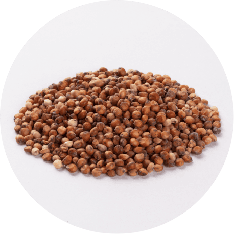 こうりゃん（マイロ）